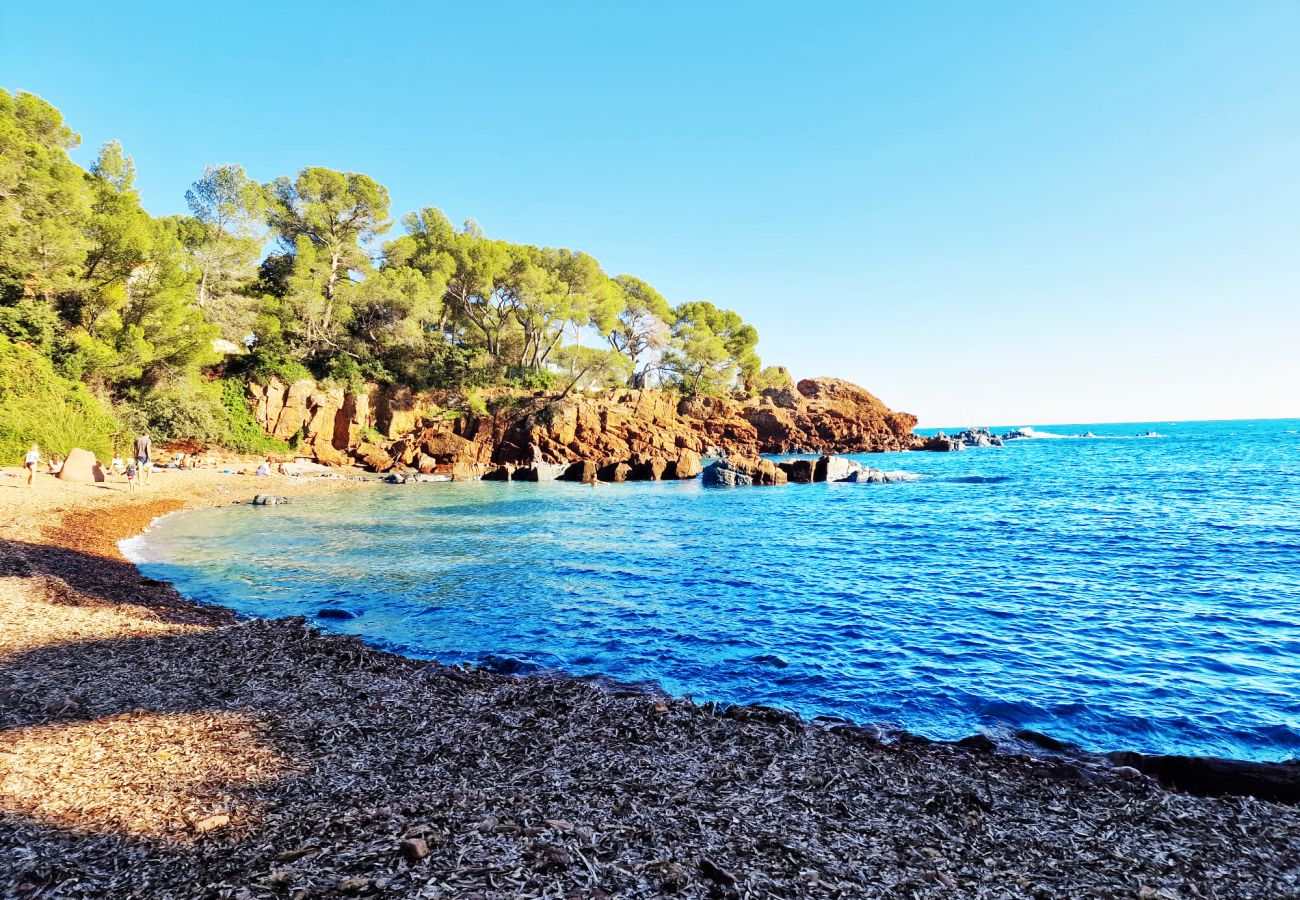 Villa in Saint Raphael - Villa du Vallon