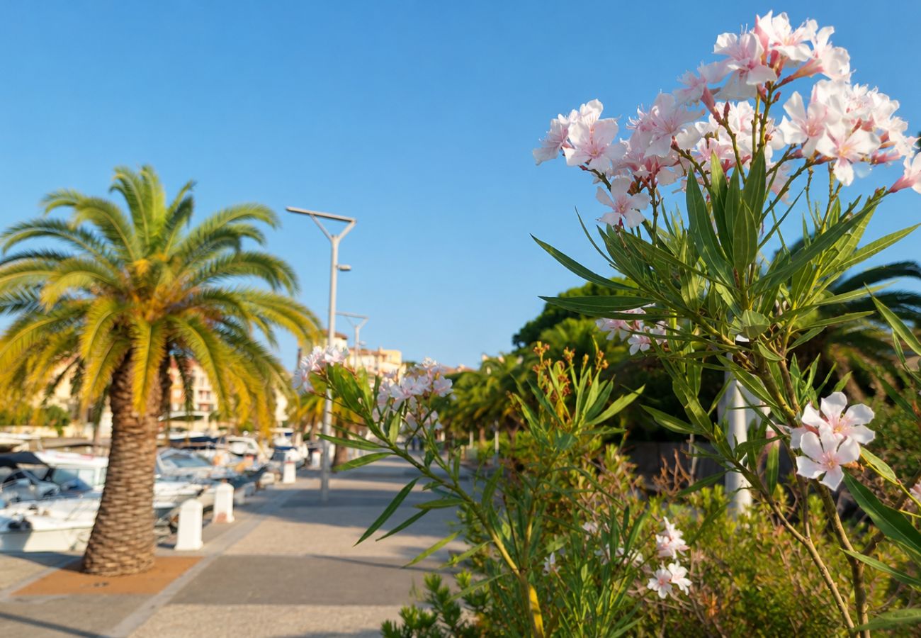 Studio in Fréjus - Studio La Cigale