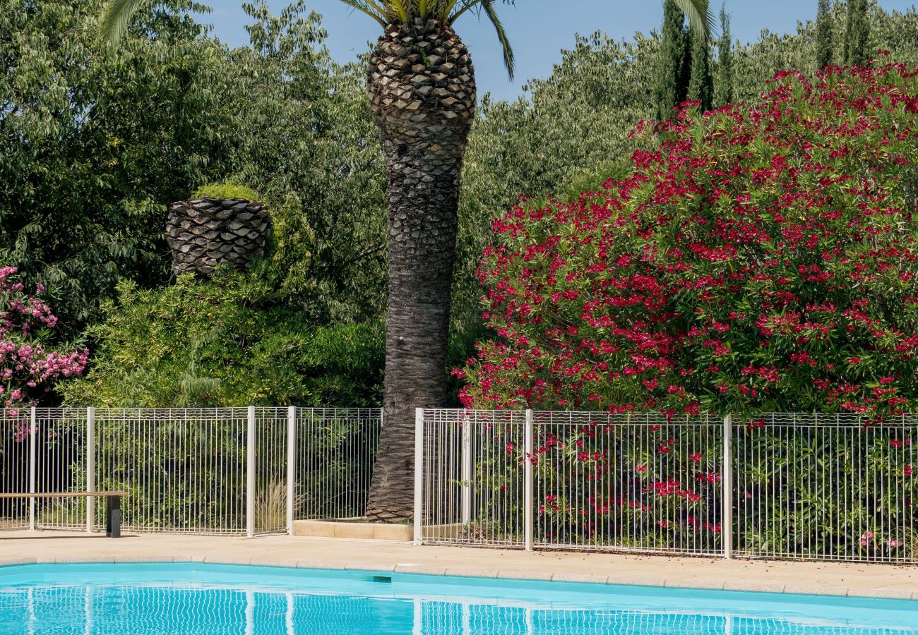 Studio in Fréjus - Studio Azur 303A