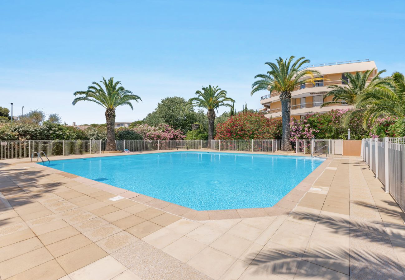 Studio in Fréjus - Studio La Pitchoune 305A