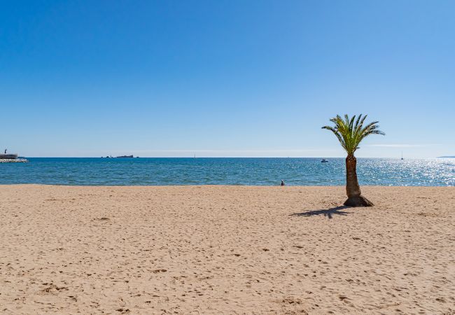 Studio à Fréjus - Studio Aurore 205A